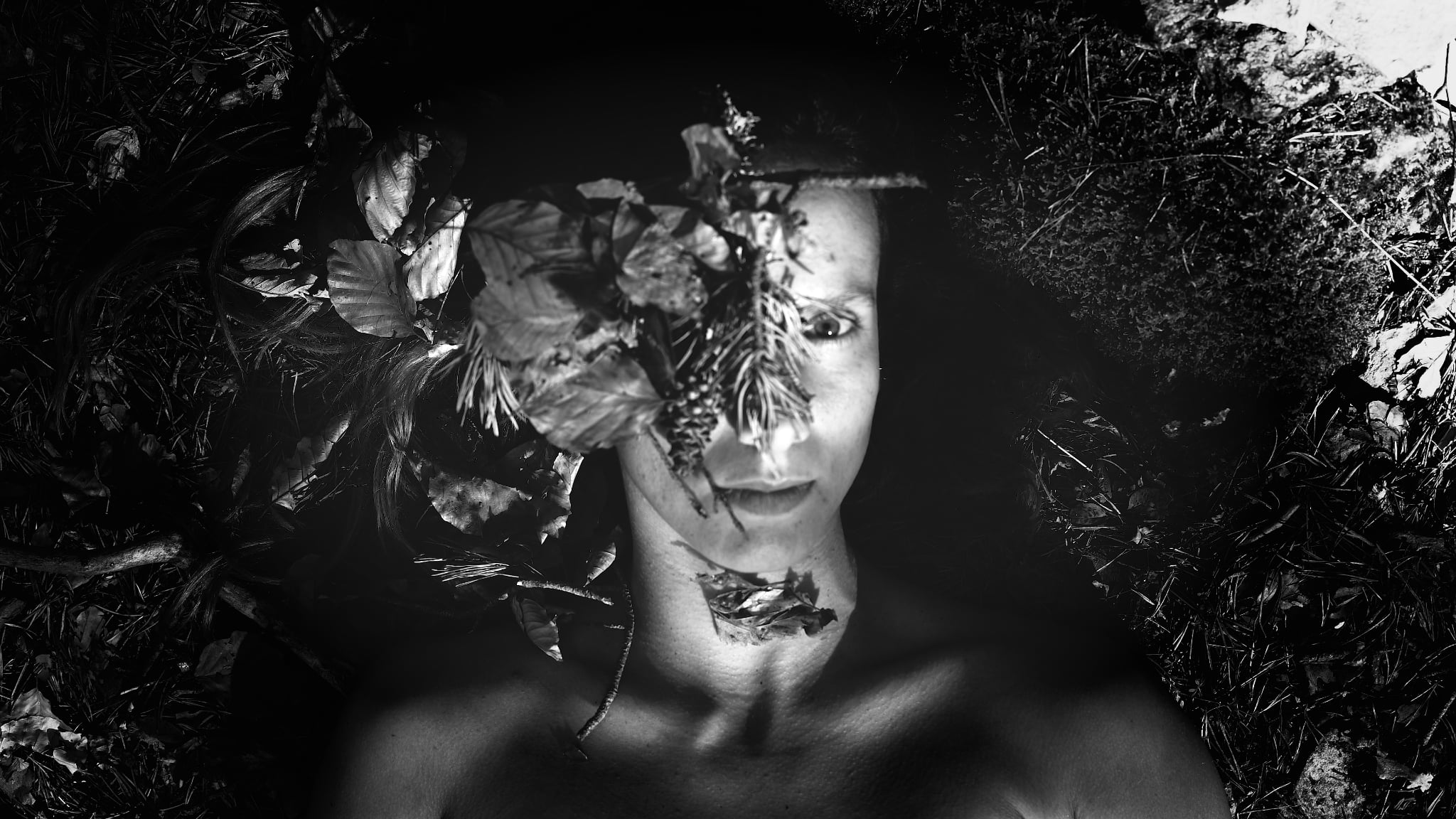 Bloom